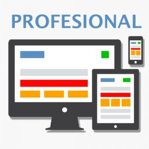 site web professionnel